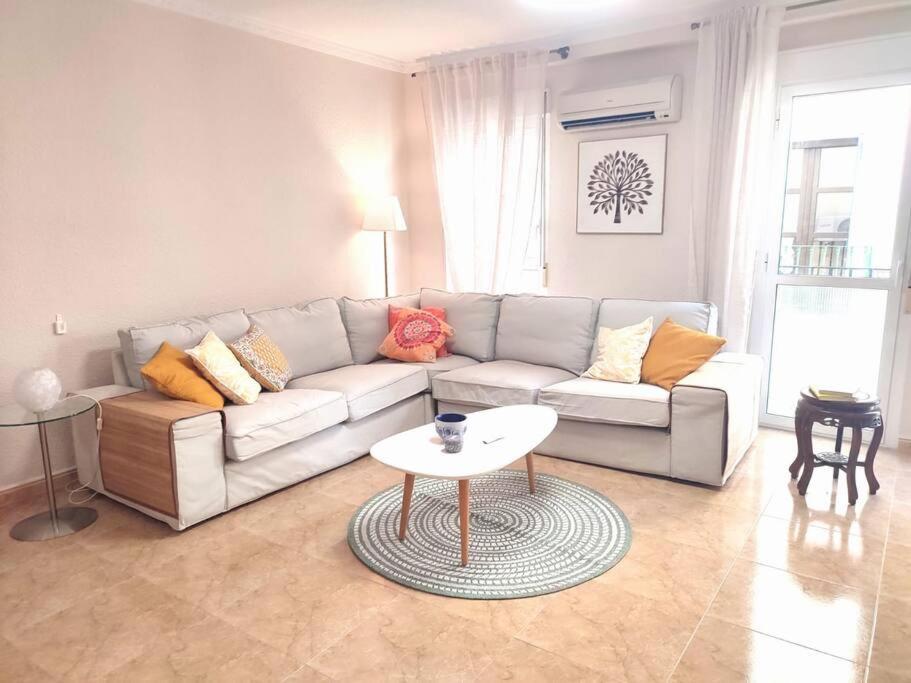 Charming & Spacious Apartment In Historic Centre & Short Walk To Beach 알리칸테 외부 사진
